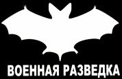 Виниловая наклейка VRC 254-16 "Военная разведка" белая плоттер 10*15см