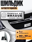 Шильдик SHKR 002BR-S01 на решетку радиатора "Power by Brabus" серебро металл размер 80*30мм