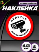Виниловая наклейка Наблюдение круг VRC 261-03 малая