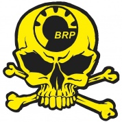 Виниловая наклейка VRC 811-02 "Череп BRP" 24*24см