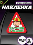 Виниловая наклейка Мальчик в машине VRC 429 цветная