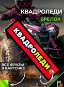 Брелок BMVP 205 "КвадроЛеди" тканевый с вышивкой 3*13 см