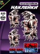 Комплект наклеек PKTZ-902 "Череп 902" светоотражающие 28*18см