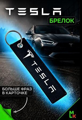 Брелок BMV 104 "Tesla" тканевый с вышивкой 3*13см