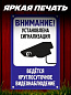 Пластиковая табличка TPS 008 "Сигнализация" толщина 3 мм 30*20 см
