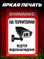 Пластиковая табличка TPS 007 "Наблюдение" толщина 3 мм 30*20 см