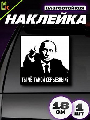 Виниловая наклейка Серьезный VRC 234-6 большая